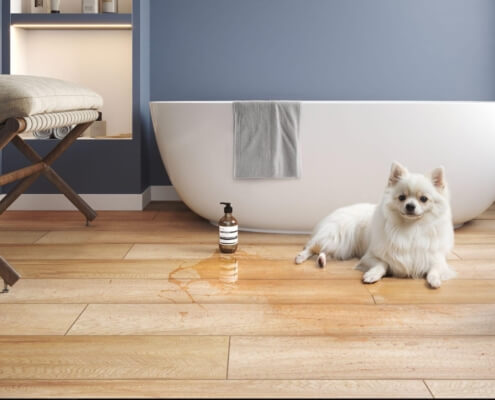 Piso laminado en baño contemporáneo con bañera blanca y perro sobre el suelo, tendencia baños 2026.